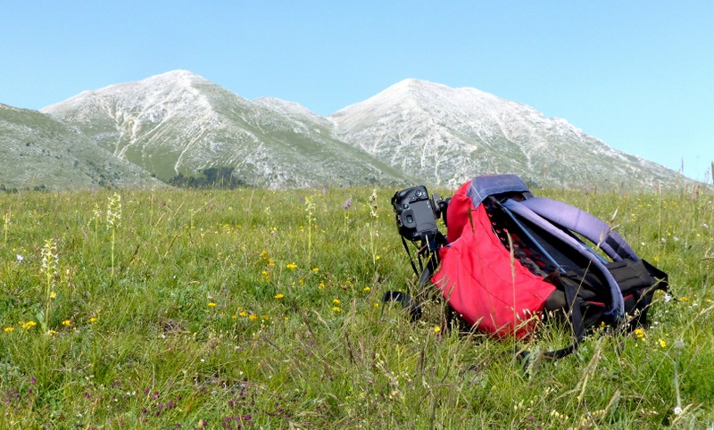 Monte Velino e Monti della Duchessa, le orchidee e la Natura  2024.